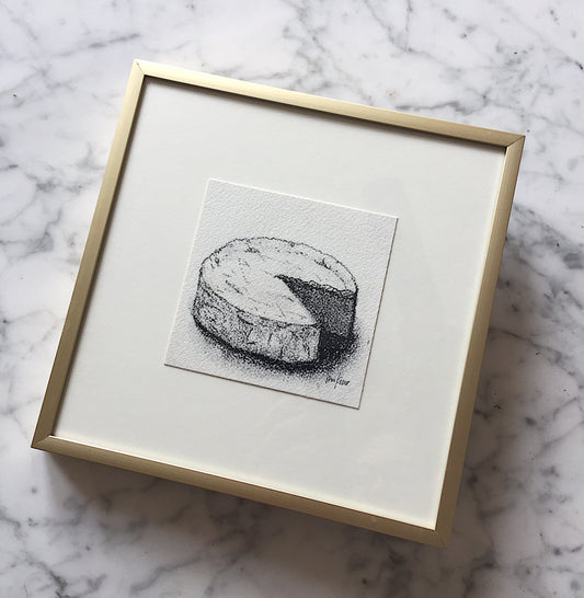 Brie Charcoal Sketch