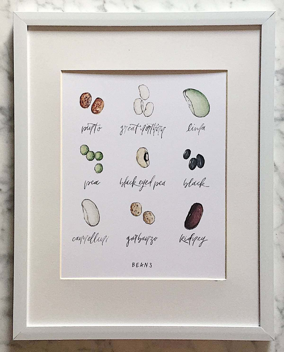A watercolor art print display 9 popular types of beans with a crisp white background