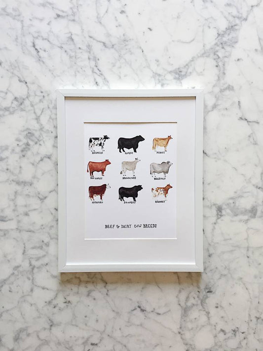 Beef and Dairy Cow Breeds Art Print