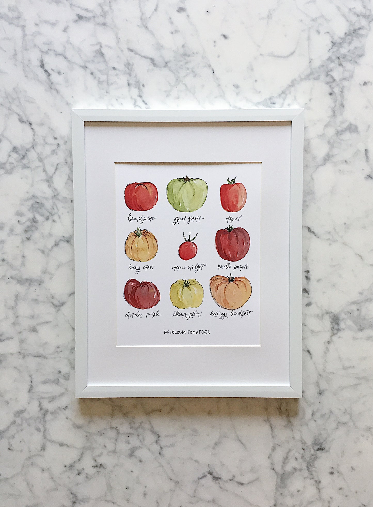 A fun watercolor print of heirloom tomatoes colorfully displayed with a white background - brandywise, green giant, nepal, lucky cross, mexico midget, rosella purple, cherokee purple, lillian yellow, kelloggs breakfast