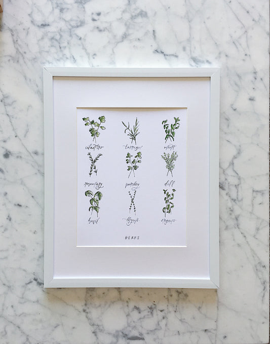 A modern watercolor art print displaying 9 different types of herbs illustrated in watercolor and pen with a clean white background - cilantro, tarragon, mint, rosemary, parsley, dill, basil, thyme, oregano